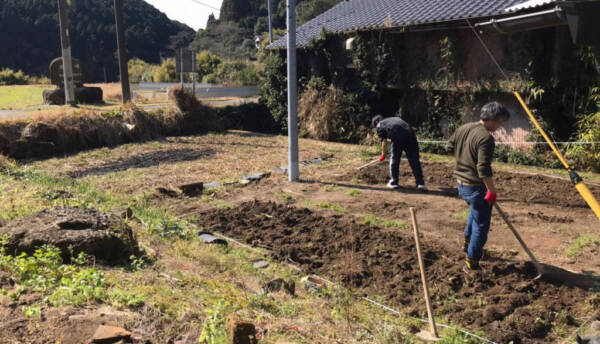 畑日記　2023.02.12